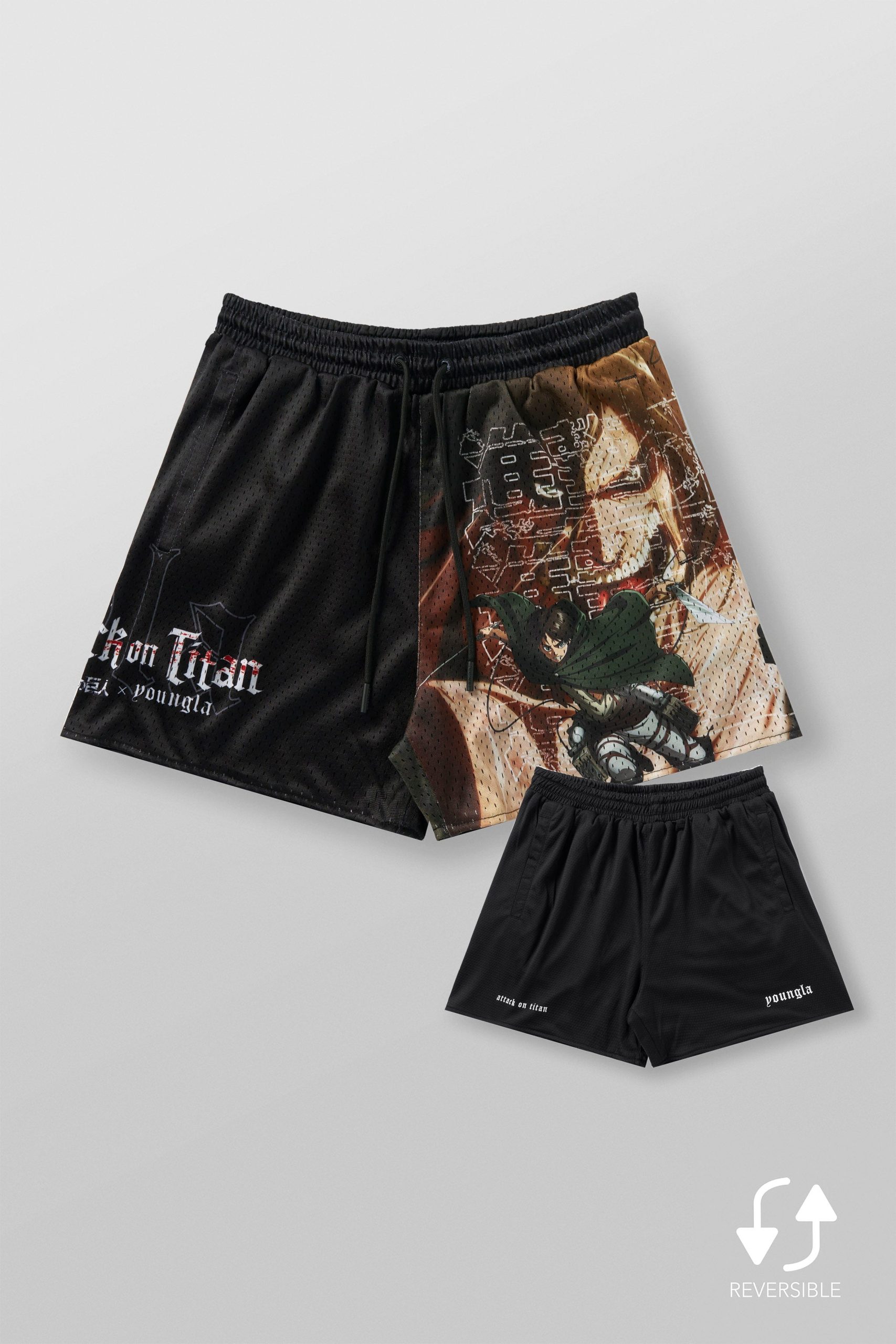 1126 - AOT© x YLA Mesh Shorts - Image 6