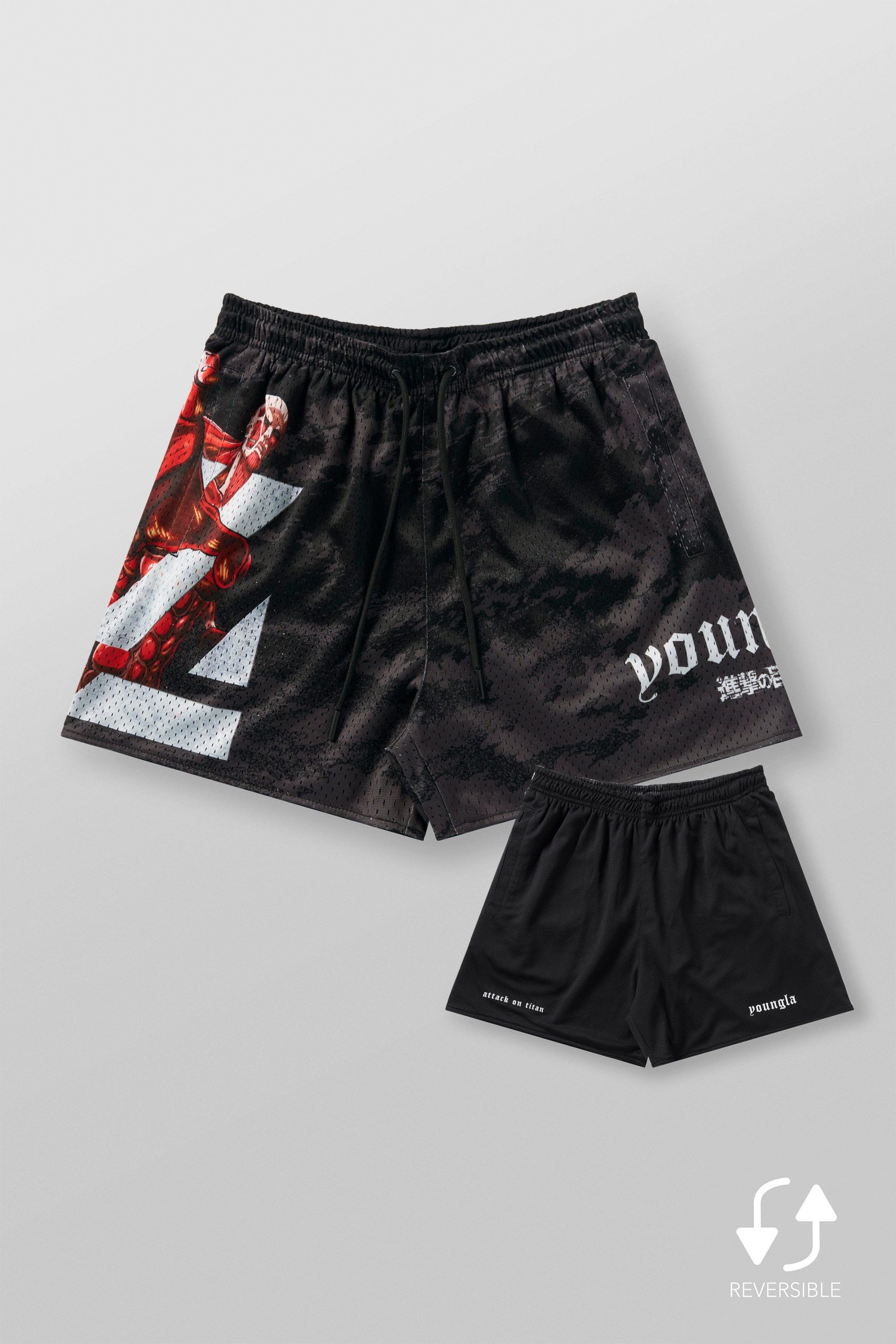 1126 - AOT© x YLA Mesh Shorts - Image 10