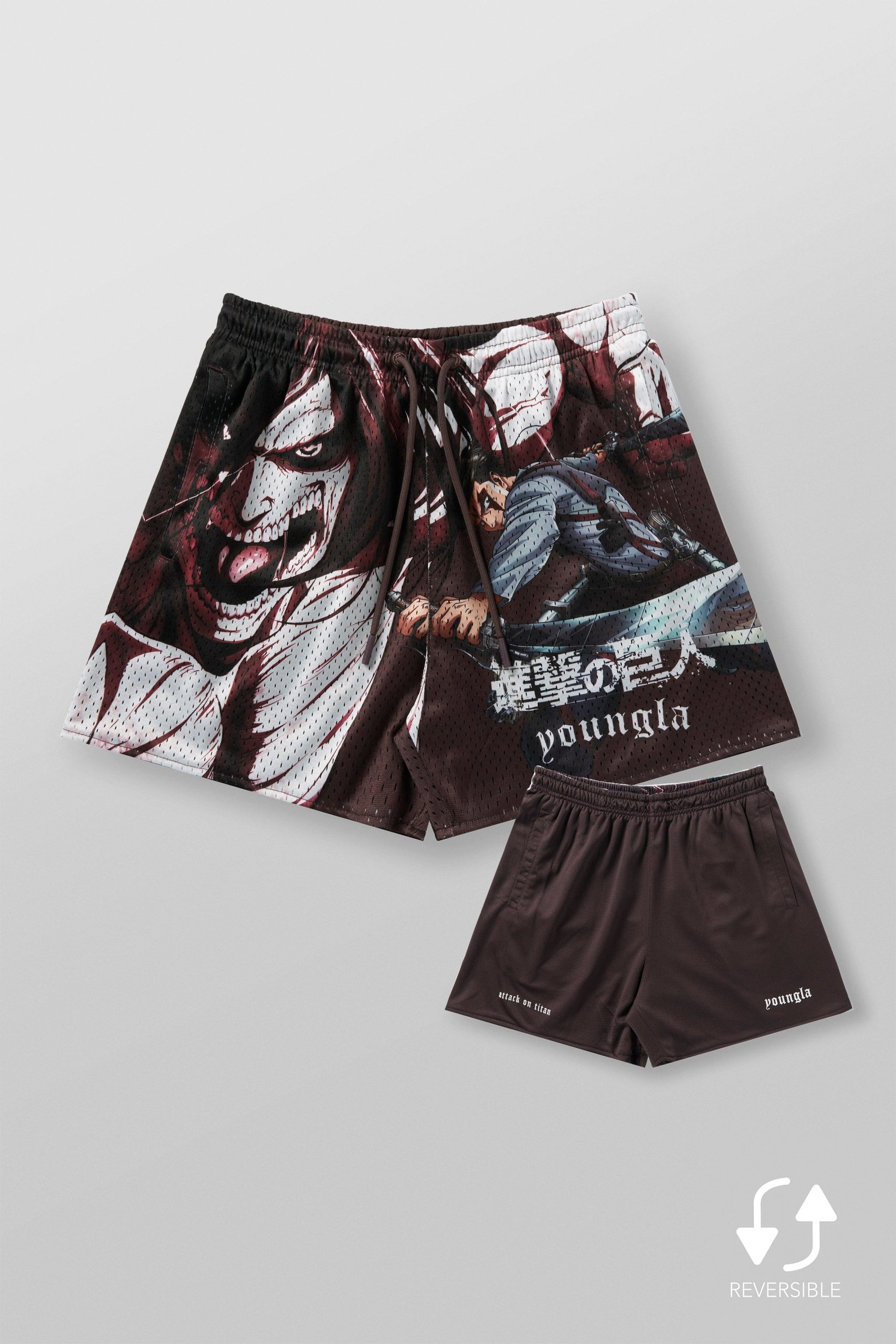 1126 - AOT© x YLA Mesh Shorts - Image 8